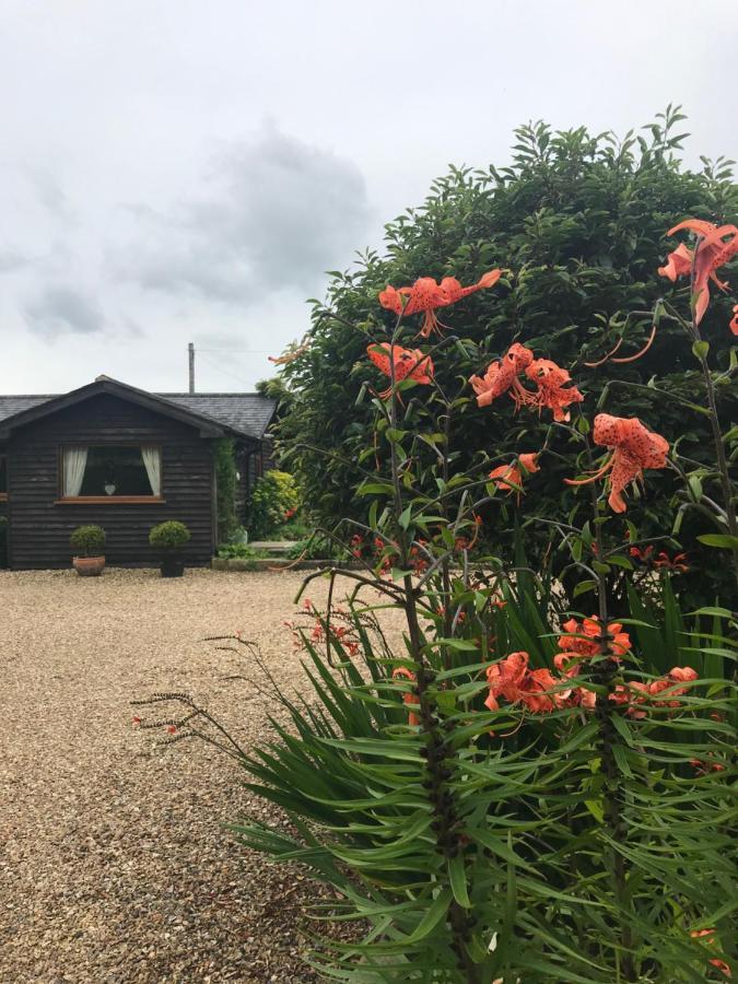 The Garden Cottage, Inglewhite Exterior foto
